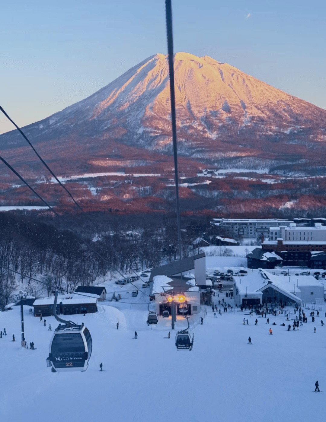 Niseko Powder Ski Experience