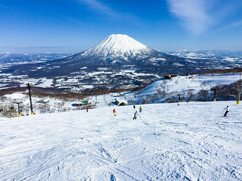 Niseko Ski & Travel Guide: Unlock the World-Class Japow Paradise