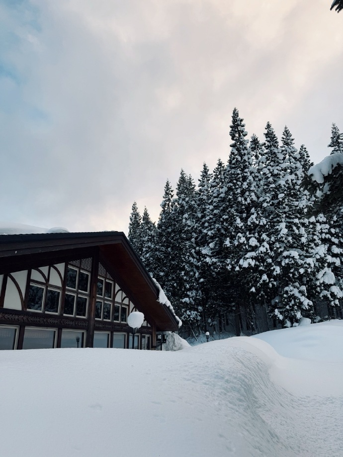 ‌Hakuba Ski